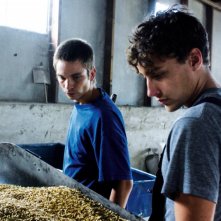 Lukas Steltner e Kai Michael Müller nel film Harvest