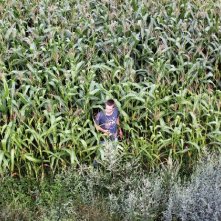 Lukas Steltner in una suggestiva scena del film Harvest