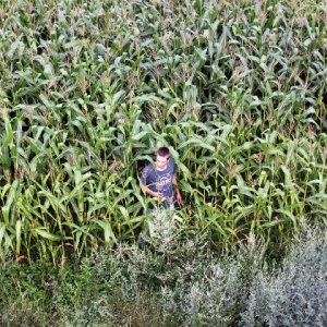Lukas Steltner in una suggestiva scena del film Harvest