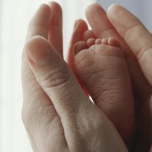 Una delicata sequenza del film The Tree of Life