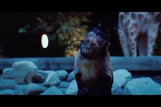 The Zookeeper - Trailer