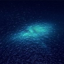 Una suggestiva immagine del film Nauta, di Guido Pappadà