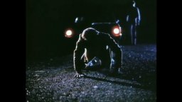 Blood Simple - Trailer