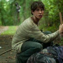 Stake Land: una foto del film