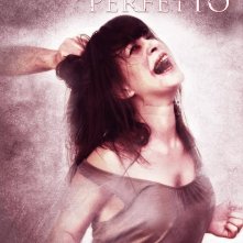 Locandina de Il marito perfetto.