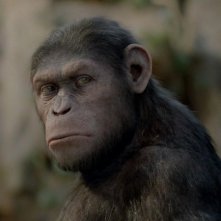 L'alba del pianeta delle scimmie: Caesar è lo scimpanzè creato dalla Weta Digital