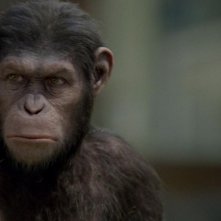 L'alba del pianeta delle scimmie: Caesar è lo scimpanzè creato in digitale dalla Weta Digital