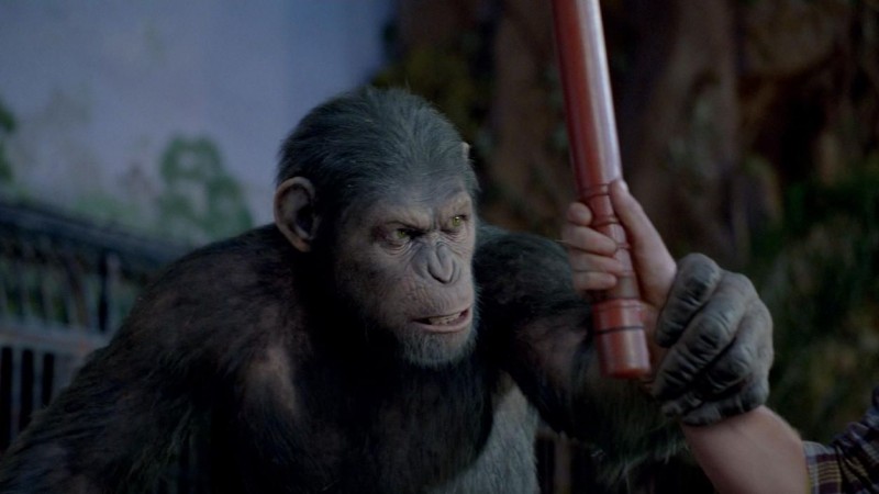 L Alba Del Pianeta Delle Scimmie Caesar E Lo Scimpanze Interamente Creato Dalla Weta Digital 207119