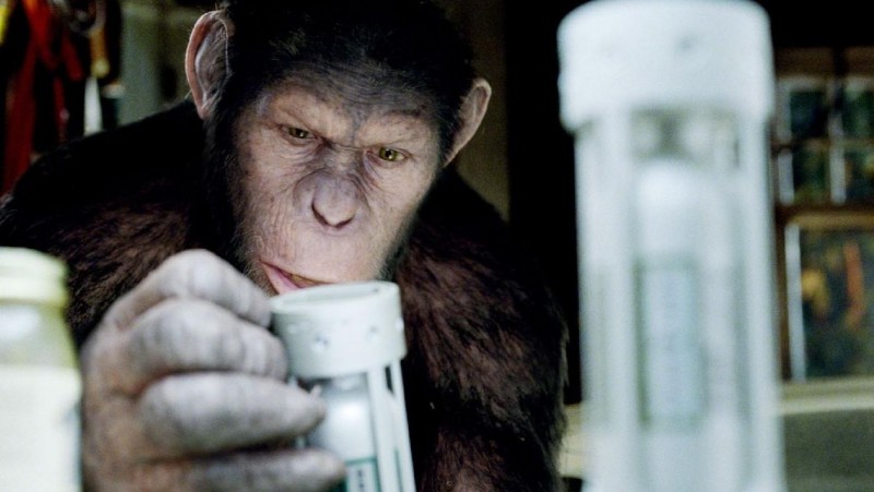 L Alba Del Pianeta Delle Scimmie Caesar In Una Sequenza Del Film 207120