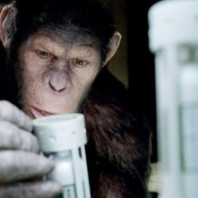 L'alba del pianeta delle scimmie: Caesar in una sequenza del film