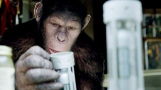 L'alba del pianeta delle scimmie: Caesar in una sequenza del film