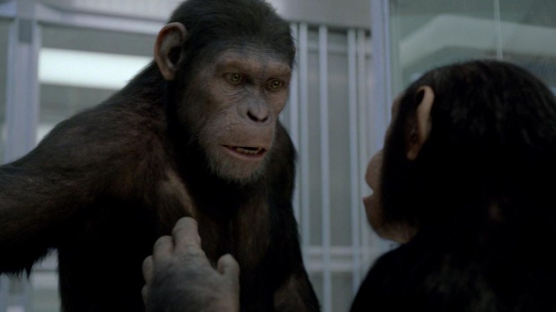 L Alba Del Pianeta Delle Scimmie Le Scimmie Caesar E Cornelia In Una Sequenza Del Film 207116
