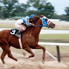 Una bellissima immagine dal film Secretariat