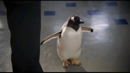 I pinguini di Mister Popper - Clip 'Take MyPenguin'