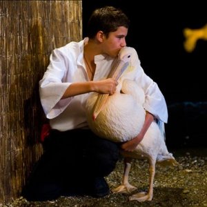 Nicostratos the Pelican: Thibault Le Guellec e uno dei suoi adorati pellicani