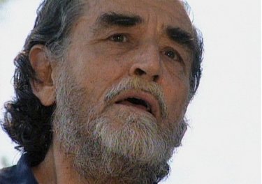 A Gassman è dedicato il documentario Vittorio racconta Gassman, una vita da Mattatore