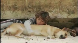 Trailer - Jane's Journey