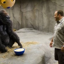 Kevin James alle prese con un gorilla in The Zookeeper (Il signore dello zoo)
