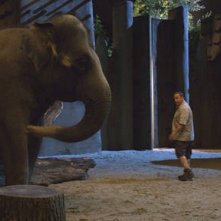 Kevin James in una scena del divertente The Zookeeper (Il signore dello zoo)