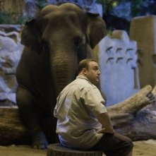 The Zookeeper (Il signore dello zoo): una scena del film con Kevin James