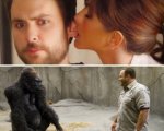 Cineweekend estero: Horrible Bosses, Il signore dello zoo e altri film