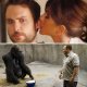 Cineweekend estero: Horrible Bosses, Il signore dello zoo e altri film