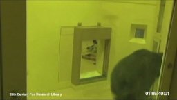 Viral Video - L'alba del pianeta delle scimmie