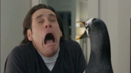 Clip Esclusiva 'It's an Infestation' - I pinguini di Mister Popper