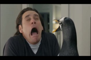 Clip Esclusiva 'It's an Infestation' - I pinguini di Mister Popper