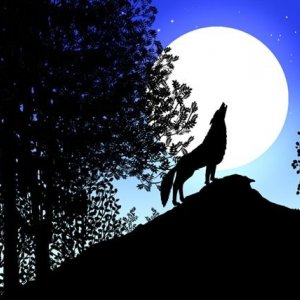 Una immagine tratta dal film Tales Of The Night (Les contes de la nuit)