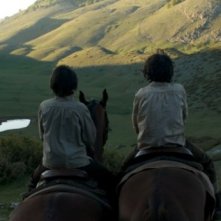 Una bellissima immagine di Cavalli