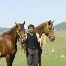 Una sequenza di Cavalli (2011) di Michele Rho