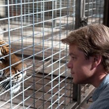 Matt Damon alle prese con una tigre in We Bought a Zoo