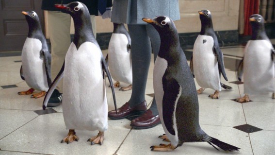 Gli Irresistibili Pinguini Di Mr Popper In Una Scena Del Film 210964
