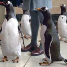 Gli irresistibili Pinguini di Mr. Popper in una scena del film