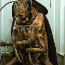 Un gigantesco scarafaggio in una scena di Horror Movie