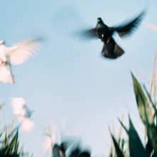 Giochi d'estate di Rolando Colla: un'immagine del film