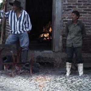 Vivan las Antipodas!: una scena del documentario