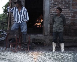 Vivan las Antipodas!: una scena del documentario