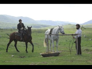 Cavalli, una scena del film di Michele Rho
