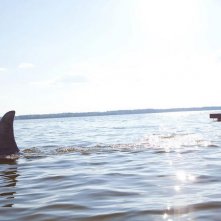 Uno squalo nel film Shark Night 3D