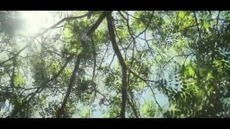 Trailer - Oranges and Sunshine