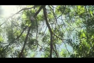 Trailer - Oranges and Sunshine