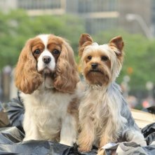 Sharpay's Fabulous Adventure: una scena del film