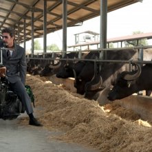 Mozzarella Stories: Andrea Renzi in una sequenza