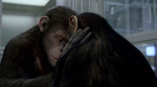 L'alba del pianeta delle scimmie: una toccante scena del film