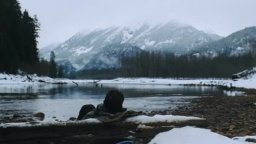 Teaser Trailer - The Grey