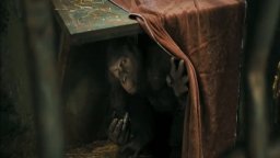 Clip 'Non vi avvicinate' - L'alba del pianeta delle scimmie