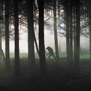 Dog Soldiers: una suggestiva sequenza del film