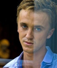 foto di Tom Felton